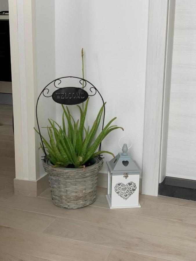 Apartment Salov Trogir Szoba fotó